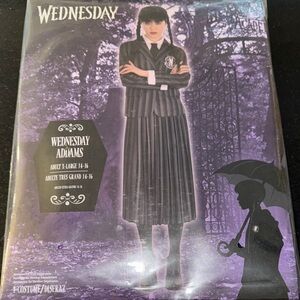 Adult Wednesday Addams Costume - Black
